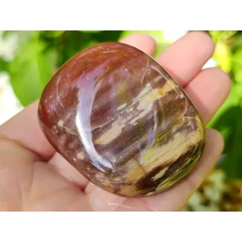 Sběratelství Zkamenělé dřevo hladký kámen z Madagaskaru 102g