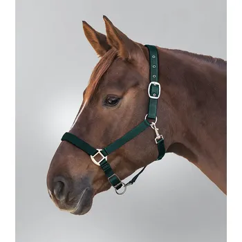 Ohlávka pro koně Waldhausen Satin tmavě zelená vel. pony