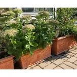 Bama Květináč Vite 80x35 terracotta