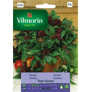 Semeno Bazalka Siam Queen 10/2023