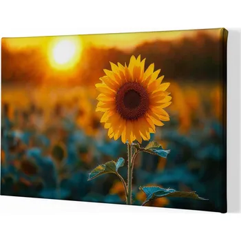 Obraz Obraz na plátně - Slunečnice v krásném západu slunce FeelHappy.cz Velikost obrazu: 40 x 30 cm