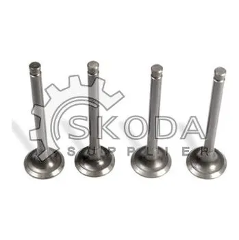 Motor automobilu Ventil výfukový - sada VIKA 11090216601
