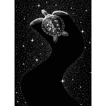 Plakát Plakát, Obraz - Starry Turtle, Aliriza Cakir