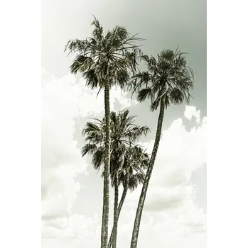 Plakát Plakát, Obraz - Vintage palm trees summertime, Melanie Viola