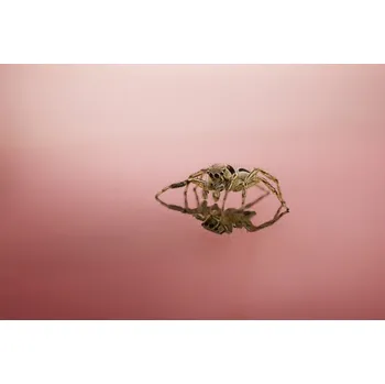 Plakát Plakát, Obraz - Narcissism, Fauzan	Maududdin