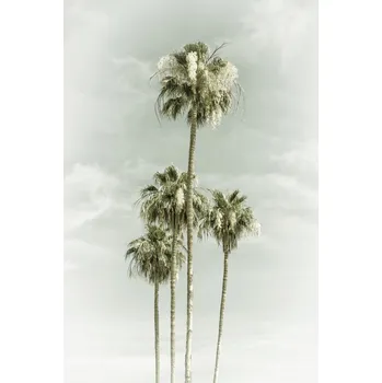 Plakát Plakát, Obraz - Vintage Palm Trees Skyhigh, Melanie Viola