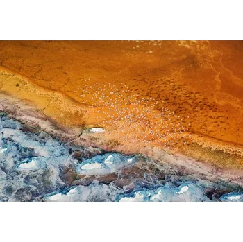 Plakát Plakát, Obraz - Colorful, Phillip Chang