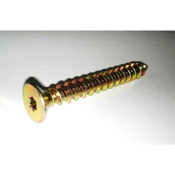 Vrut TS Vrut univerzální 10x80 ZŽ ZH TORX - DOPRODEJ