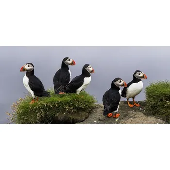 Plakát Plakát, Obraz - I don't care, Eric Mattheyses