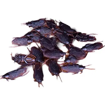 Žertovný předmět Rawblade Falešní Švábi