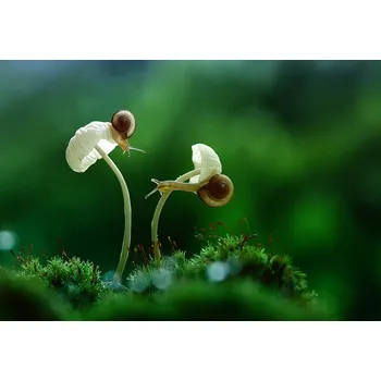 Plakát Plakát, Obraz - Move On, Abdul Gapur Dayak