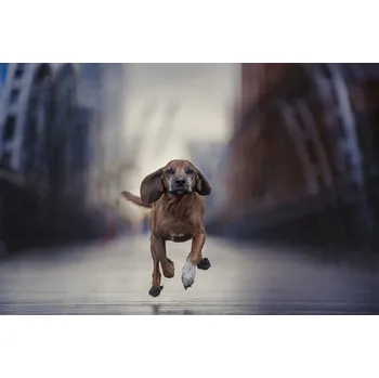 Plakát Plakát, Obraz - Limits, like fear, is often an Illusion, Heike Willers