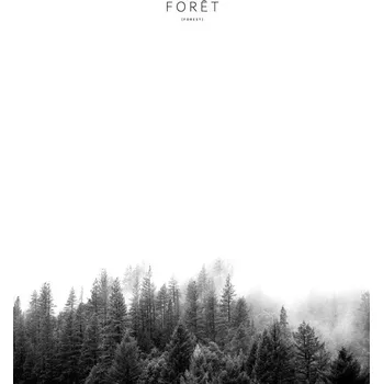 Plakát Plakát, Obraz - foret3, Finlay & Noa