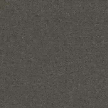 Tapeta Vliesová tapeta černá 449853 / Tapety na zeď Country Charme (0,53 x 10,05 m) Rasch