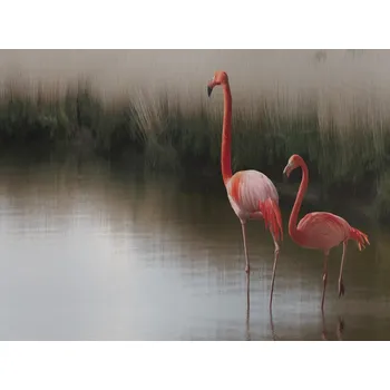 Plakát Plakát, Obraz - Lake Romance, Anna	Cseresnjes