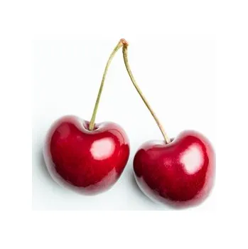 Plakát Plakát, Obraz - Pair of cherries, Studio Collection