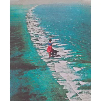 Plakát Plakát, Obraz - Morning walk with dog, spacerocket art