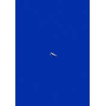 Plakát Plakát, Obraz - Washed out, Maarten Léon