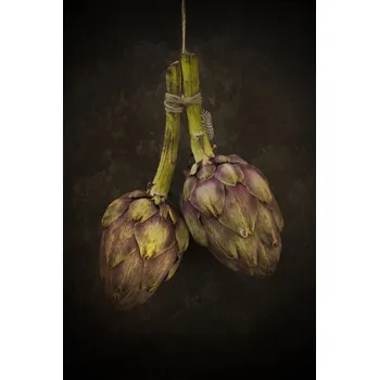 Plakát Plakát, Obraz - Artichoke, Alida van Zaane