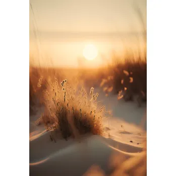 Plakát Plakát, Obraz - Sunset At The Beach, Treechild