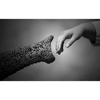 Plakát Plakát, Obraz - WALKING TOGETHER ...., Antje Wenner-Braun