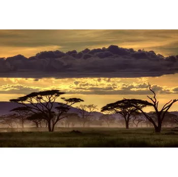 Plakát Plakát, Obraz - Good evening tanazania, Amnon Eichelberg