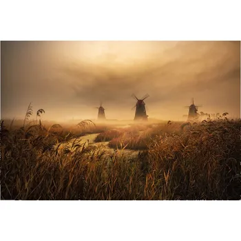 Plakát Plakát, Obraz - A fascinating morning, Tiger Seo