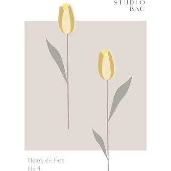 Plakát Plakát, Obraz - Tulips Studio Bac, Studio Collection