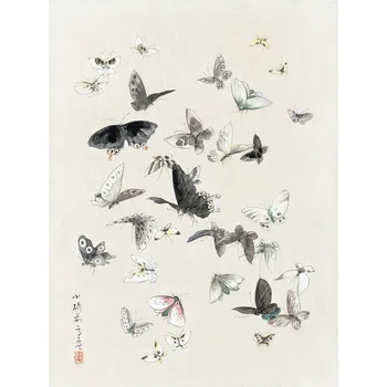 Plakát Plakát, Obraz - Butterflies & Moths (1 of 2) - Katsushika Hokusai