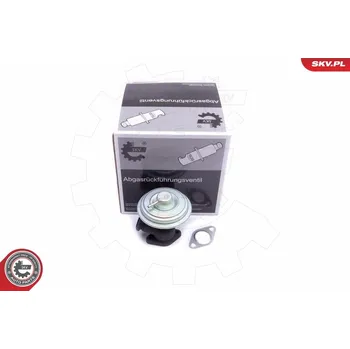 Ventil palivového systému SKV AGR-Ventil 14SKV203