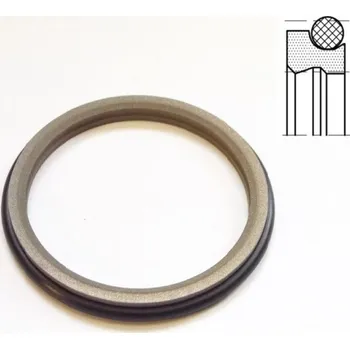 DICHTOMATIK Stírací kroužek AD61 40x48,8/6,3 PTFE/NBR DIN