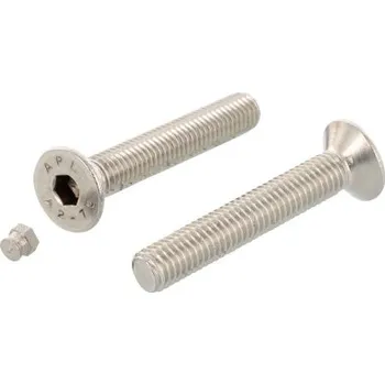 Šroub Art. 9141 A2 M 10X60 with plug