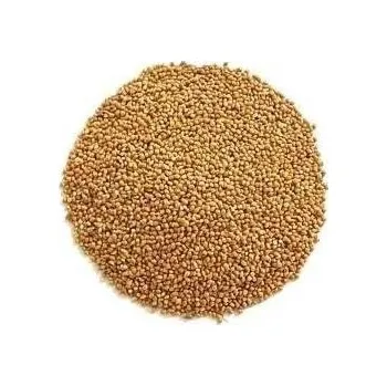 Krmivo pro ptáka Proso žluté Balení: 1kg