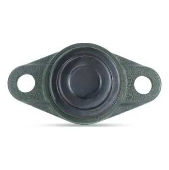 Ložisková jednotka SM-UCFL205 D1 NTN