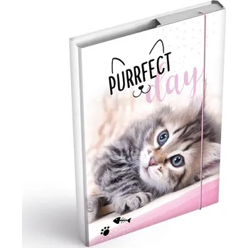 BOX, desky na sešity Mourovaté kotě A5 (Boxy kočka, s kočkou, kočky)