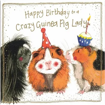 Přání v obálce Crazy Guineas, morčata od ALEX CLARK 16*16 cm (Blahopřáníí s morčetem, morče)