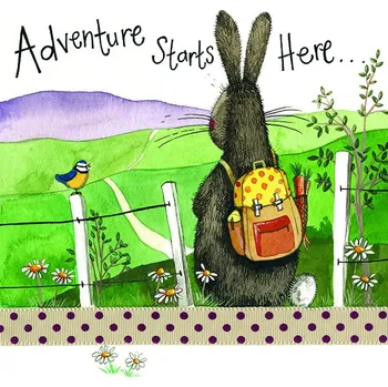 Přání v obálce Adventure Starts Here,od ALEX CLARK 16*16 cm (Blahopřání zajíc, zajíček, sýkorka)