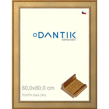 Rám na obraz DANTIK rámeček 60x80 | TOOTH zlatá (Plexi Čiré) (Vyrobeno s láskou u nás v DANTIKU)