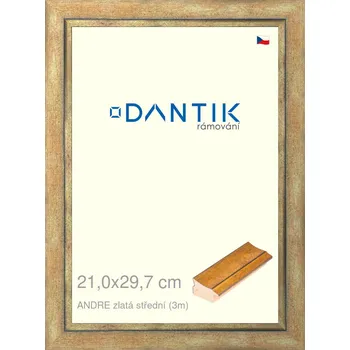 Rám na obraz DANTIK rámeček 21x29,7 | ANDRE zlatá střední (Sklo Čiré) (Vyrobeno s láskou u nás v DANTIKU)