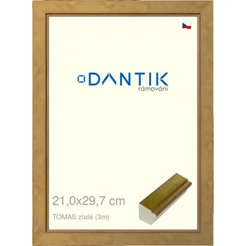 Rám na obraz DANTIK rámeček 21x29,7 | TOMAS zlatá (Sklo Čiré) (Vyrobeno s láskou u nás v DANTIKU)
