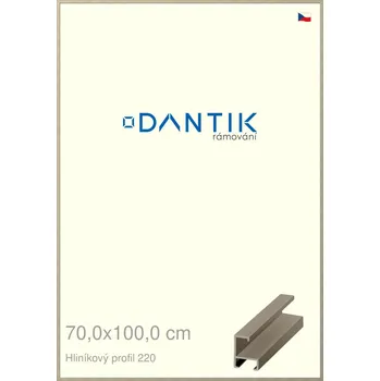 Rám na obraz DANTIK rámeček 70x100 | ALU profil 6220 champagne (Plexi Čiré) (Vyrobeno s láskou u nás v DANTIKU)