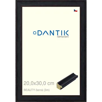 Rám na obraz DANTIK rámeček 20x30 | BEAUTY černá (Sklo Čiré) (Vyrobeno s láskou u nás v DANTIKU)