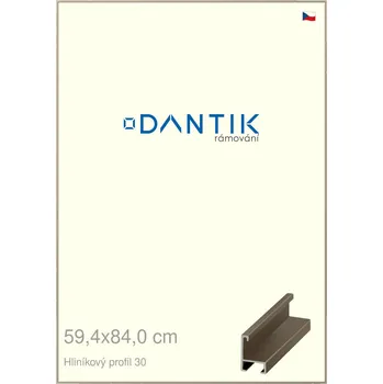 Rám na obraz DANTIK rámeček 59,4x84 | ALU profil 6030 champagne (Plexi Čiré) (Vyrobeno s láskou u nás v DANTIKU)