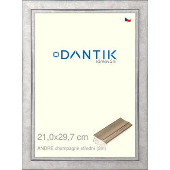 Rám na obraz DANTIK rámeček 21x29,7 | ANDRE champagne střední (Sklo Čiré) (Vyrobeno s láskou u nás v DANTIKU)