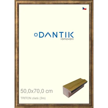 Rám na obraz DANTIK rámeček 50x70 | TRITON zlatá (Plexi Čiré) (Vyrobeno s láskou u nás v DANTIKU)
