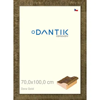 Rám na obraz DANTIK rámeček 70x100 | Dora Gold (Plexi Čiré) (Vyrobeno s láskou u nás v DANTIKU)