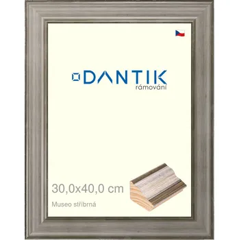 Rám na obraz DANTIK rámeček 30x40 | Museo stříbrná (Plexi Čiré) (Vyrobeno s láskou u nás v DANTIKU)