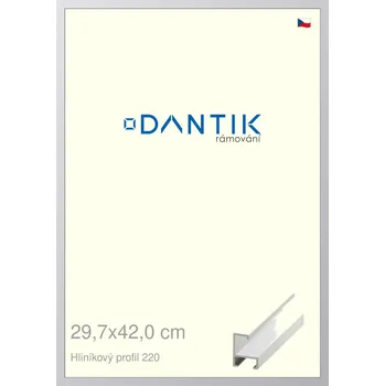 Rám na obraz DANTIK rámeček 29,7x42 | ALU profil 6220 Bílá matná (Plexi Čiré) (Vyrobeno s láskou u nás v DANTIKU)