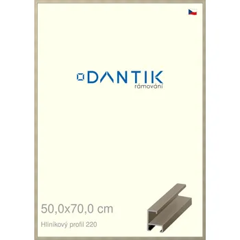 Rám na obraz DANTIK rámeček 50x70 | ALU profil 6220 champagne (Plexi Čiré) (Vyrobeno s láskou u nás v DANTIKU)
