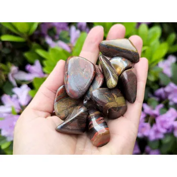 Sběratelství Tygří železo troml vel.L (JAR)